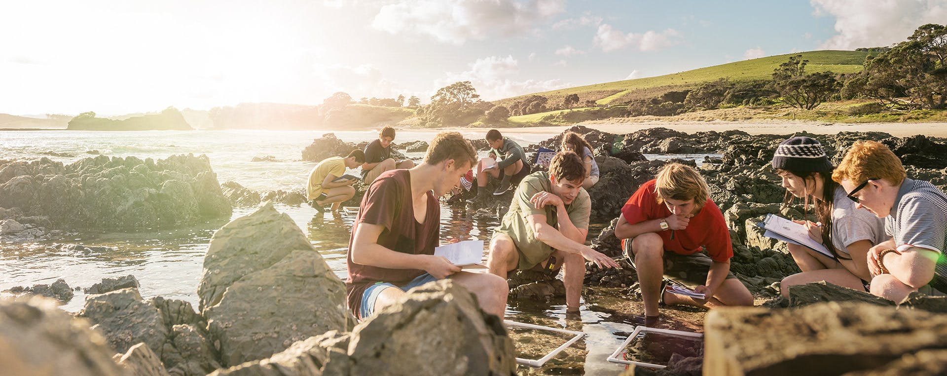 School students studying sea life in a rock pool