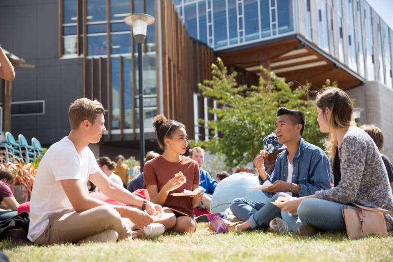 A group of four international students are all talking together while sitting on the university lawn 