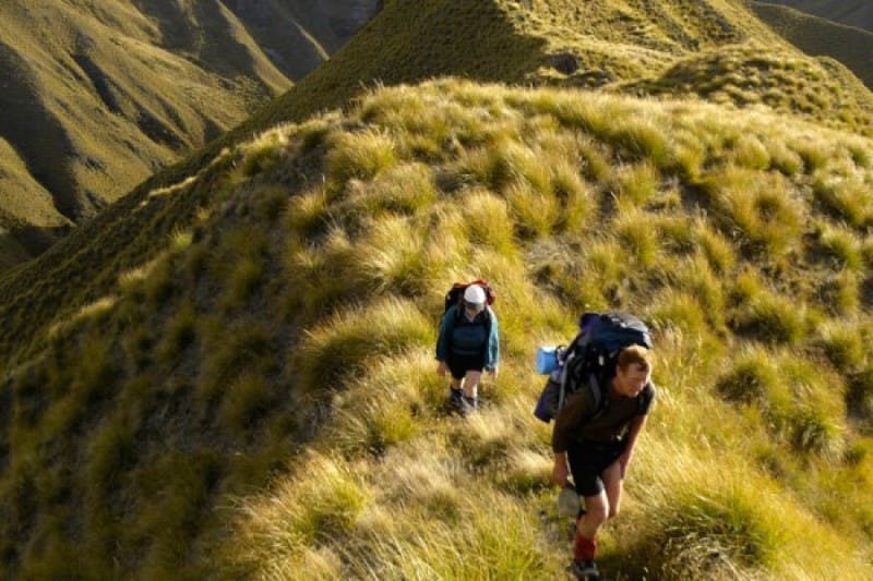 Two international students hike up a hill in New Zealand that's covered in tussock grasses during a sunset