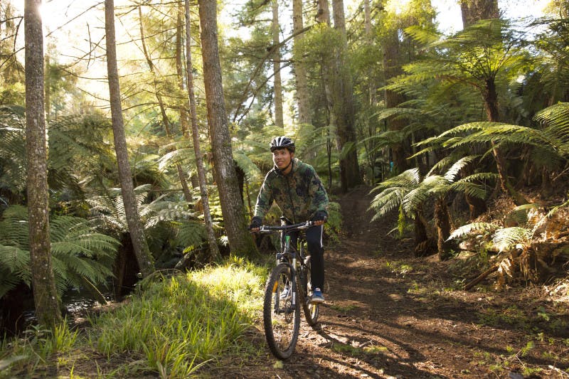 A man dressed in green biking safety gear is enjoying cycling through lush green forest in New Zealand