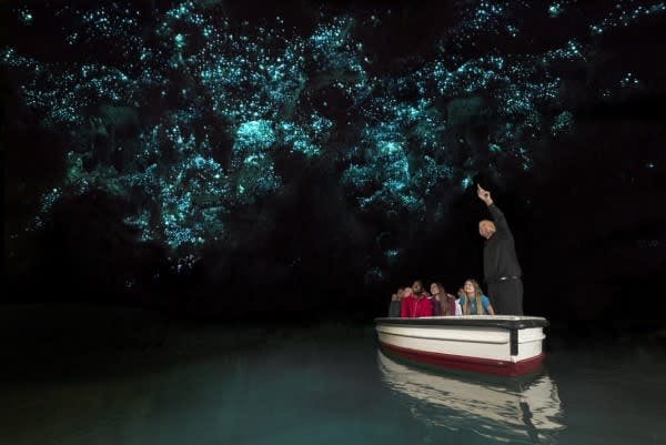 A guide points out glow worms on the roof of a New Zealand cave to his guests, while everyone floats down the cave river in a boat
